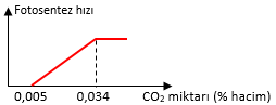 CO2 Miktarının Fotosentez Hızına Etkisi